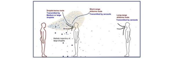 Diagram

Description automatically generated